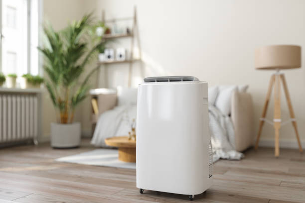Best Air Filters and Purifiers in Veedersburg, IN